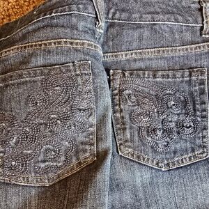 Embroidered Blue Jeans